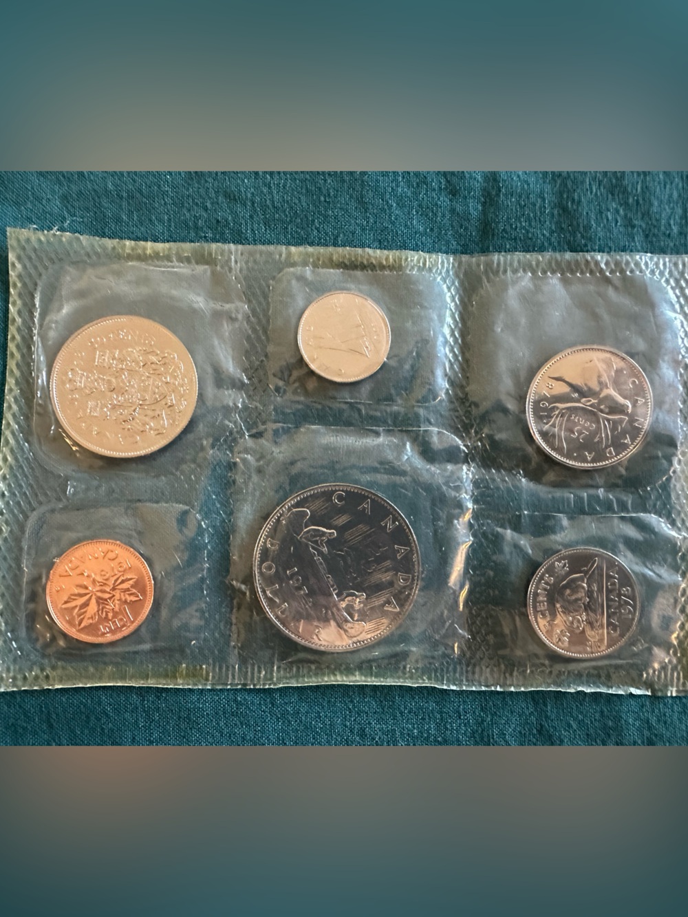 Clear Coin Pouch Organizer - Green